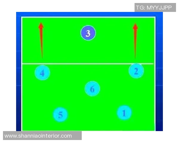 杭州排球队选拔赛战术解析与表现评估的深度分析